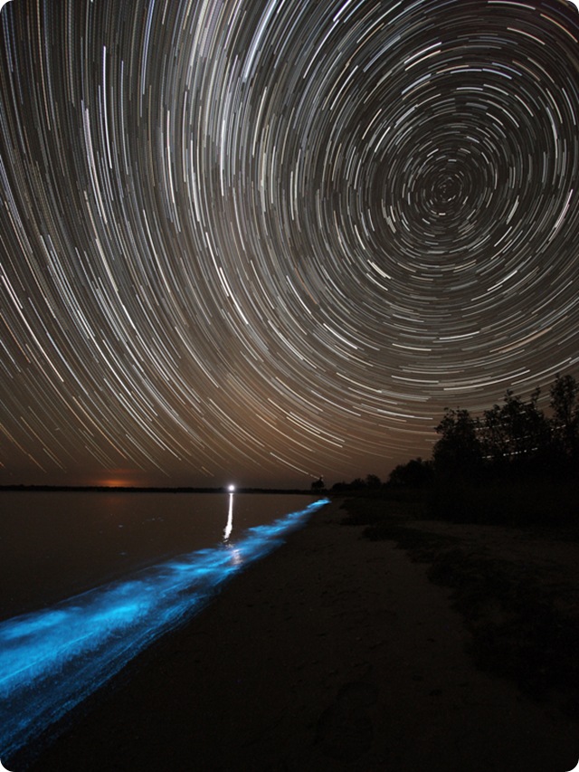 Image du jour : Les étoiles dans le ciel surplombent la bioluminescences marine.