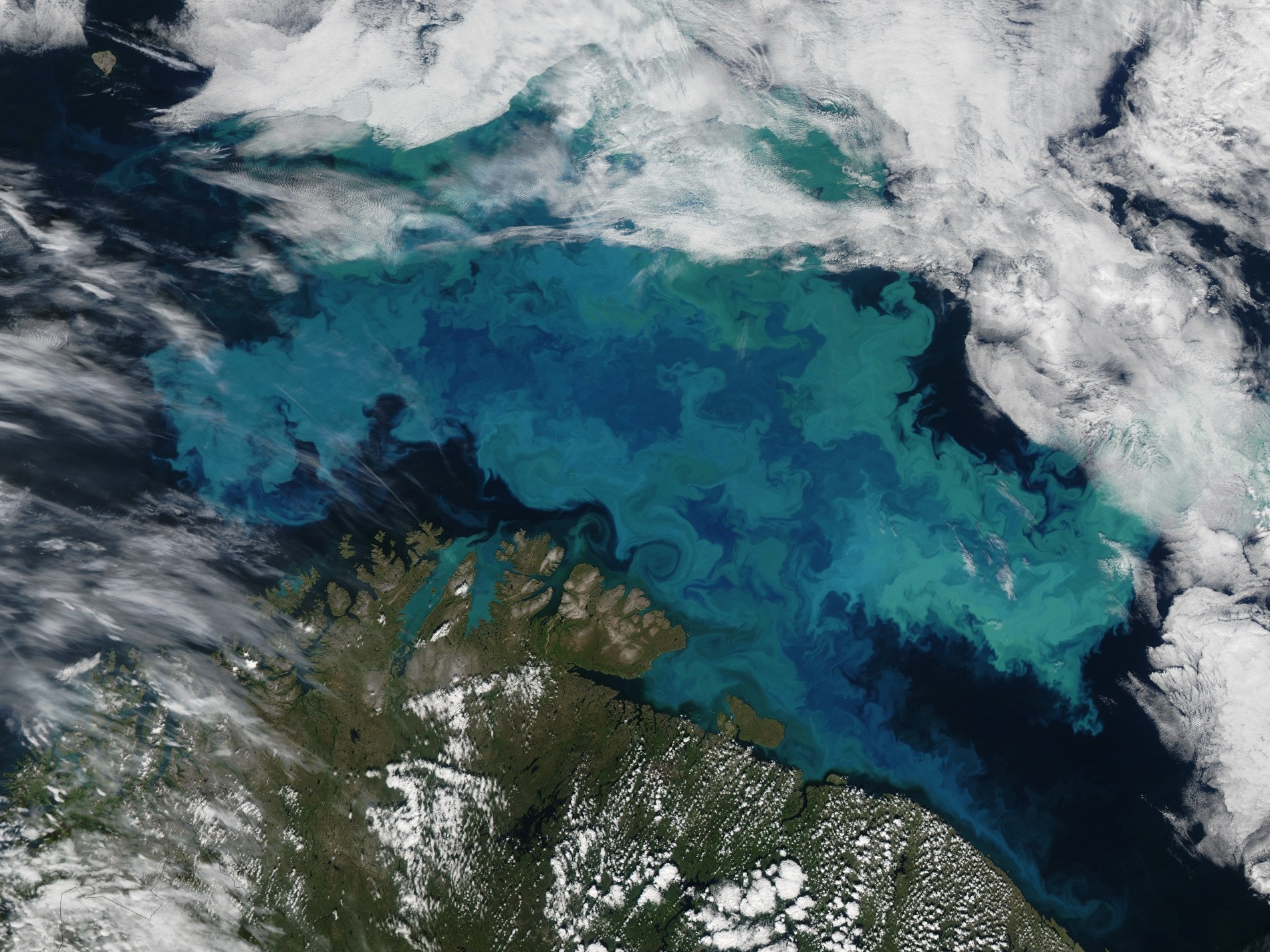 Le changement climatique modifiera la couleur d’une grande partie des océans d’ici 2100