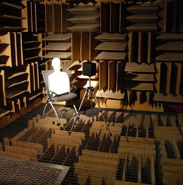 Dans cette chambre acoustique vous devenez le son, avant de devenir fou.