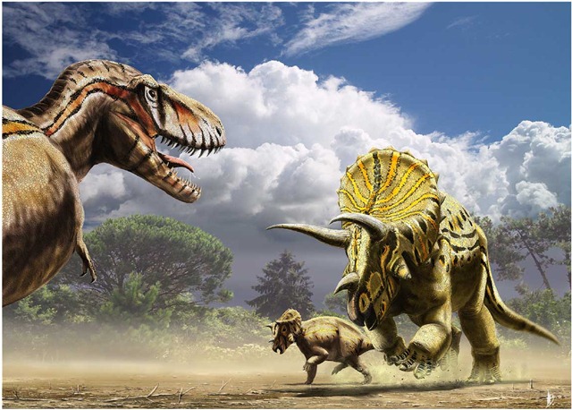 Comment dévorer un Triceratops ?