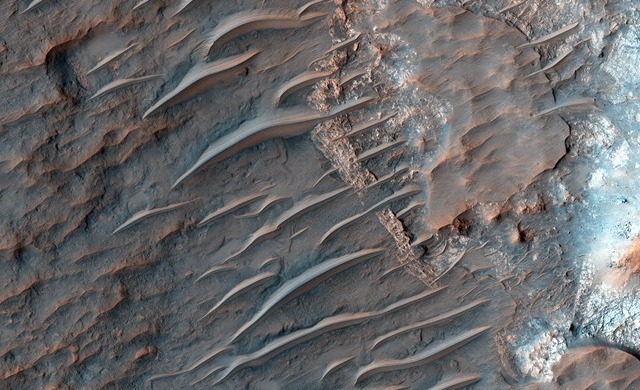 Un très beau point de vue sur de mystérieuses crêtes martiennes