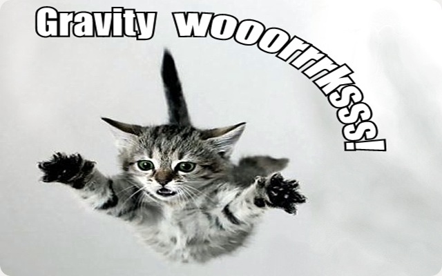 L’absence de gravité ne fait pas retomber les chats sur leurs pattes.