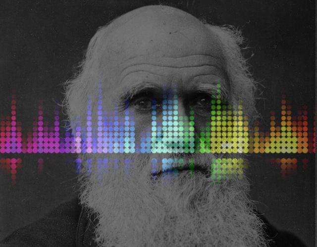 Le développement d’un tube de musique pop selon les principes de Darwin. (A l’écoute)