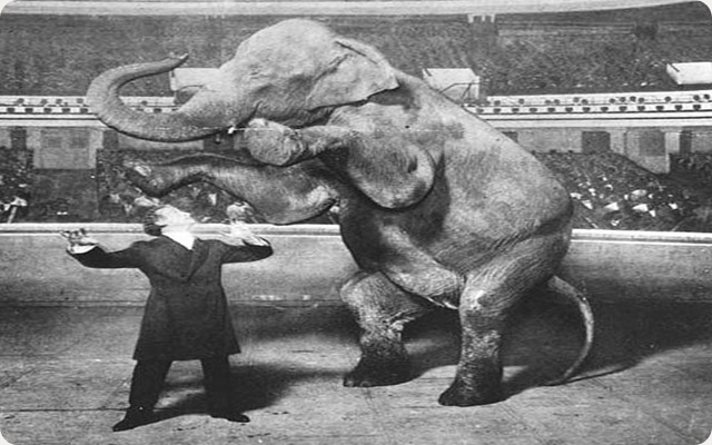 Comment faire disparaitre un éléphant à la Houdini.