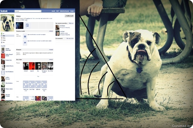 L’urine du chien est aussi sa page Facebook.