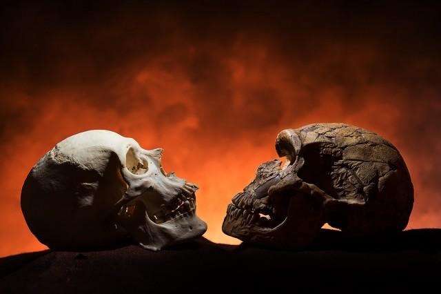 Les humains et les néanderthaliens se seraient “mélangés” beaucoup plus tôt que prévu