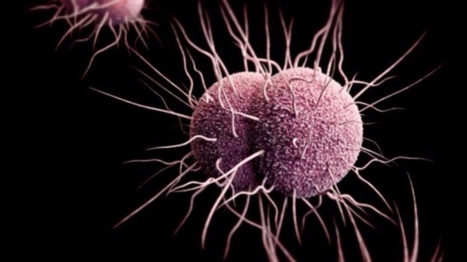 Les superbactéries pourraient tuer jusqu’à 10 millions de personnes par an d’ici à 2050