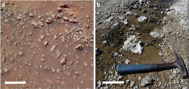 Ces roches présenteraient-elles les empreintes d’une ancienne vie microbiennes sur Mars ?