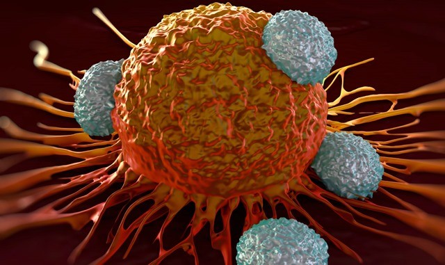 Une méthode pour mettre fin au détournement des cellules immunitaires par le cancer