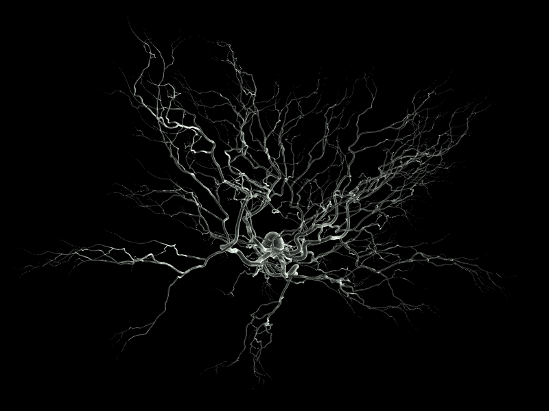 Neurone : avons-nous sous-estimé la puissance de calcul de notre cerveau ?