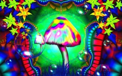 La psilocybine des champignons hallucinogènes reconnecte le cerveau des personnes dépressives