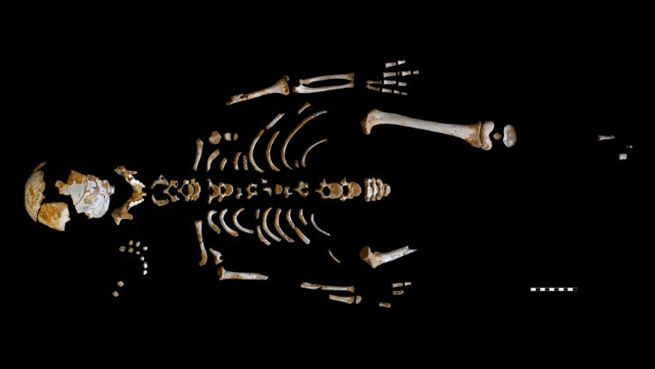 Les restes d’un jeune Néanderthalien révèlent pourquoi ils disposaient d’un plus grand cerveau que le nôtre