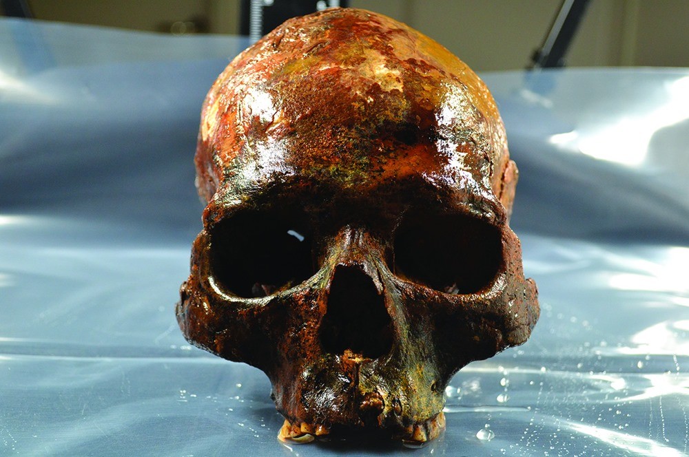 Il y a 8000 ans, en Suède, des crânes humains ont été empalés sur des pieux et personne ne sait pourquoi