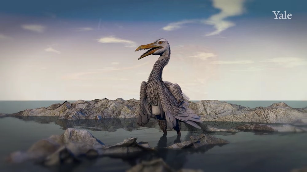 Des fossiles révèlent comment les premiers becs d’oiseaux se sont développés