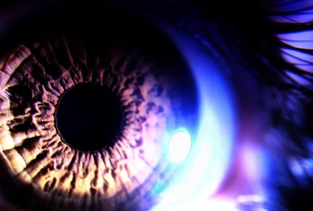 Une intelligence artificielle a appris à déterminer notre personnalité en regardant nos yeux