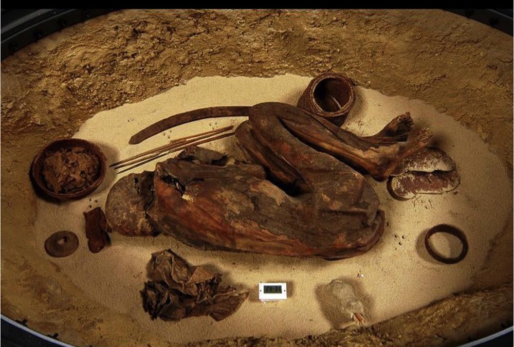 Une momie préhistorique confirme que la recette d’embaumement des momies existait bien avant les pharaons