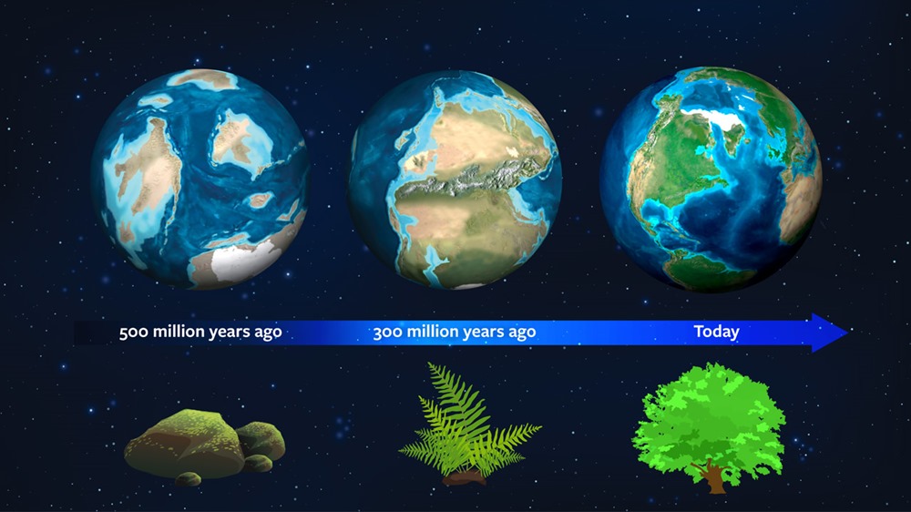 L’histoire de la végétation terrestre aidera les astronomes à repérer des plantes sur d’autres planètes