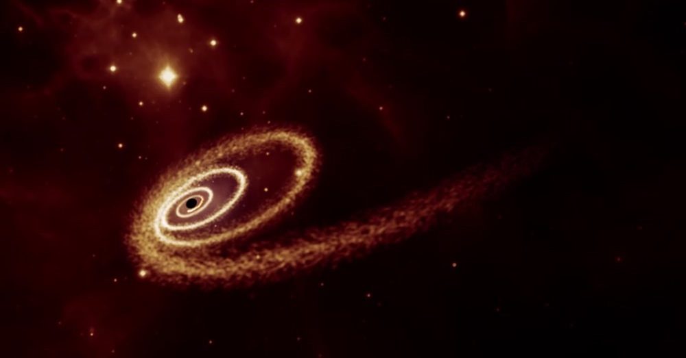 Résurrection stellaire : certains trous noirs peuvent temporairement redonner vie à des étoiles mourantes