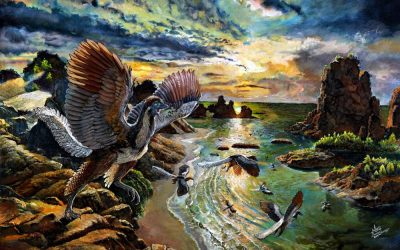 Un fascinant fossile allemand pourrait être une toute nouvelle espèce d’Archeopteryx, le chainon manquant entre les dinosaures et les oiseaux