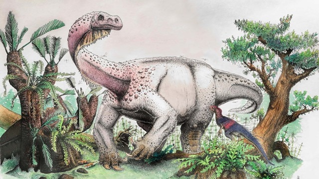 Ce dinosaure au long cou était le plus grand animal terrestre de la Terre