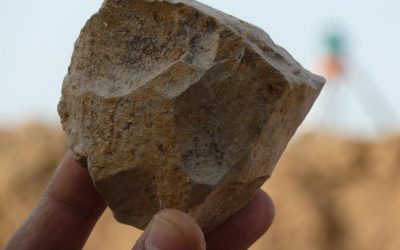 Nouvelle réécriture de l’histoire de l’origine humaine avec la découverte d’outils préhistoriques en Algérie