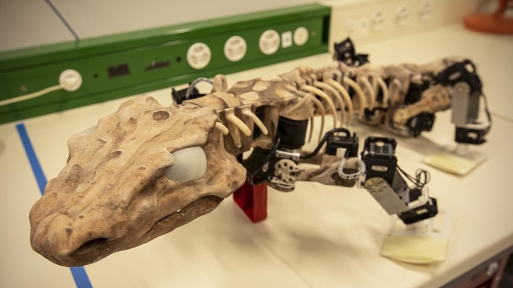 Un fossile robotique pour déterminer la démarche d’anciens animaux