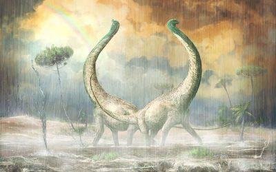 Mnyamawamtuka : un nouveau titanosaure tanzanien qui fait la lumière sur l’évolution des dinosaures