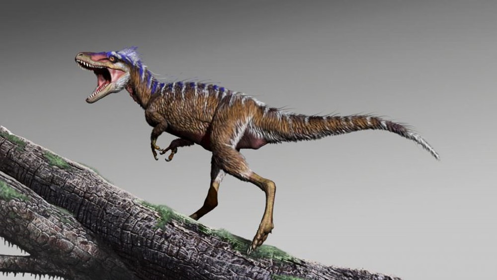 Début difficile : il s’avère que l’effrayant Tyrannosaurus rex a évolué à partir d’un tout petit ancêtre