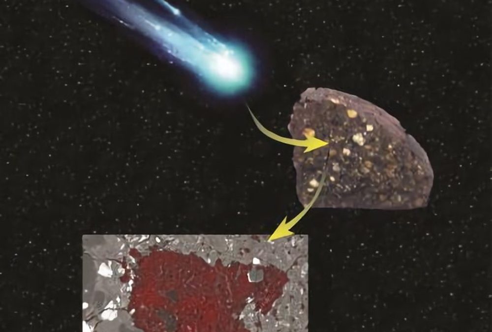 Un morceau de comète découvert dans une météorite