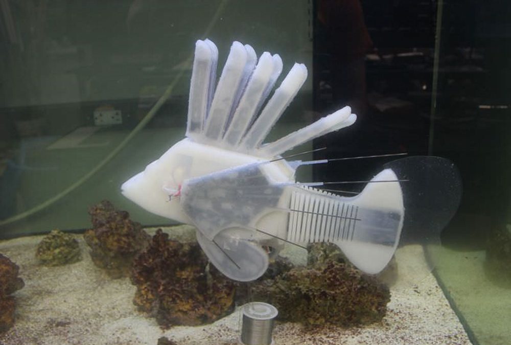 Ce robot-poisson peut nager pendant 37 heures avec du liquide de batterie en guise de sang