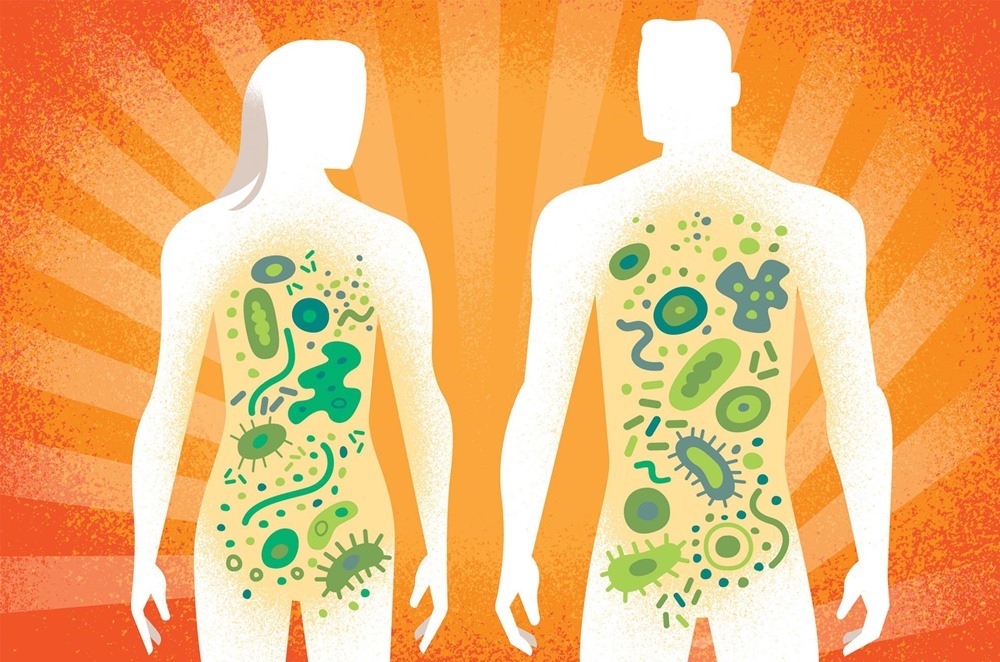 Découverte de milliers de nouvelles protéines produites par le microbiome humain