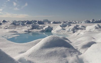 Même dans l’Arctique, les chutes de neige sont polluées par les microplastiques