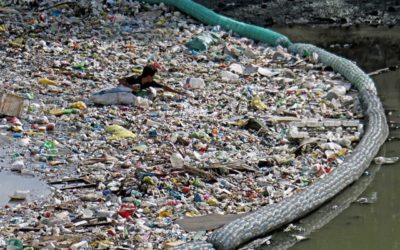 Selon l’Organisation mondiale de la santé, les microplastiques dans l’eau potable ne sont probablement pas nocifs pour les humains