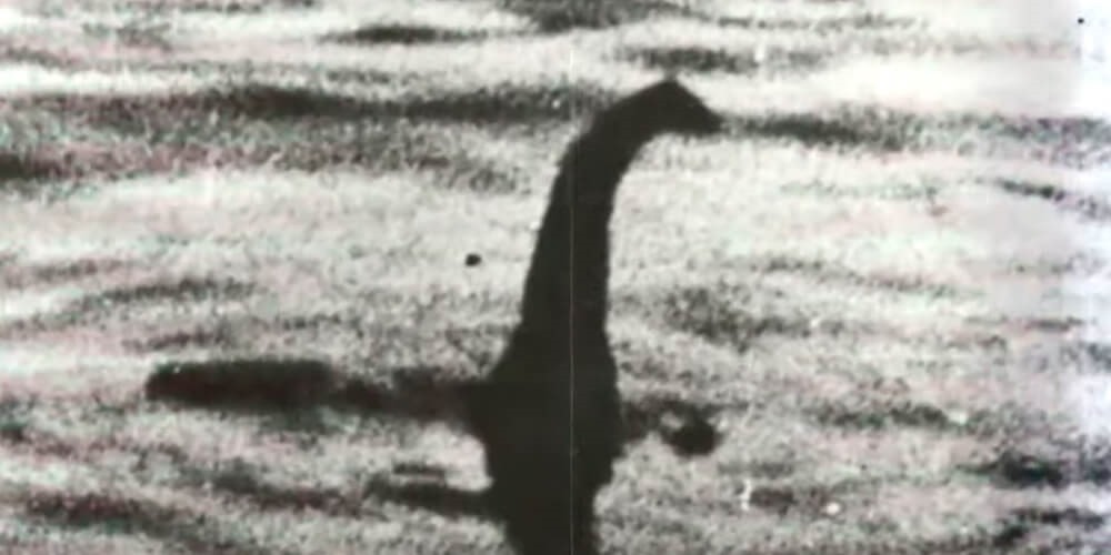 Une large analyse d’ADN n’a pas trouvé de monstre du Loch Ness… qui serait peut-être une grosse anguille