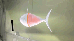 Un robot thon qui pourrait devenir un système de surveillance aquatique