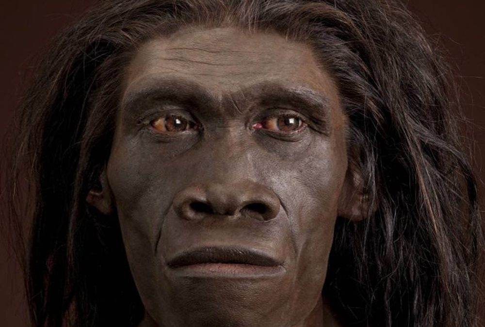 Homo Erectus : de nouvelles preuves que ces ancêtres des humains sont mystérieusement morts il y a 117 000 ans