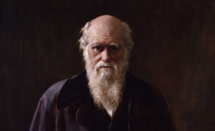 Une étudiante confirme l’une des théories de Darwin près de 140 ans après sa mort