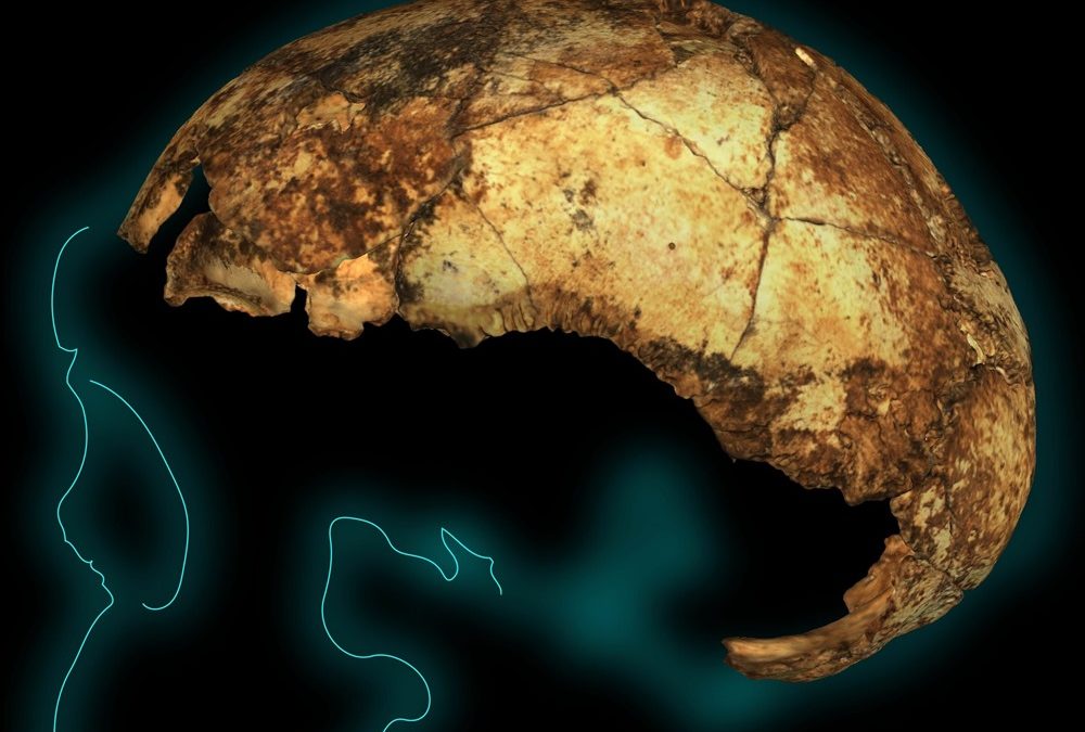 Finalement, trois types des premiers humains vivaient au même moment en Afrique du Sud