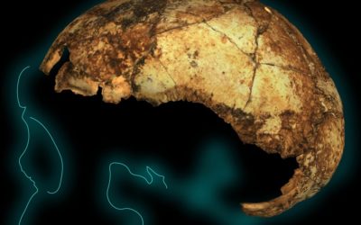 Finalement, trois types des premiers humains vivaient au même moment en Afrique du Sud