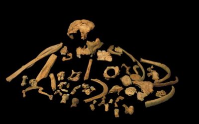 Les plus anciennes données génétiques humaines révèlent à quoi ressemblait notre ancêtre commun avec les Néandertaliens