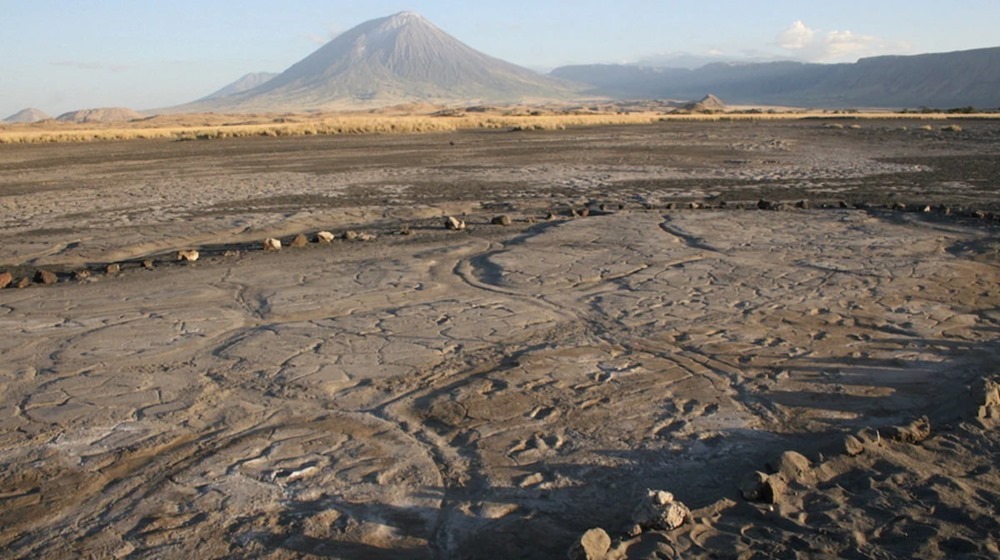 Des centaines d’empreintes de pas humains fossilisées donnent un aperçu de la vie antique en Afrique