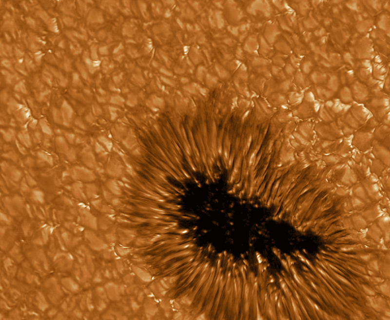 Après un passage chez l’opticien, un télescope terrestre obtient cette très belle image animée d’une tache solaire