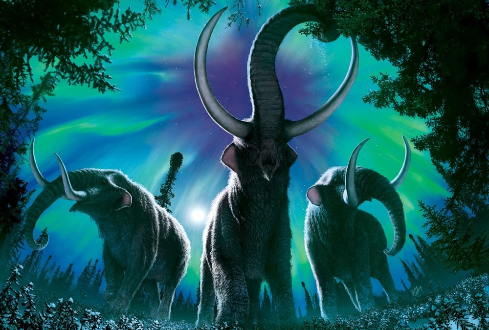 Le changement climatique a poussé les mastodontes à migrer sur de grandes distances à travers l’Amérique du Nord