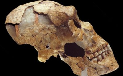 Une réaction physique disproportionnée à la COVID-19 tire ses origines de l’Homme de Neandertal