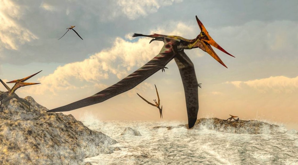 Découverte des ancêtres des ptérosaures comblant un vide dans l’histoire des débuts de l’évolution