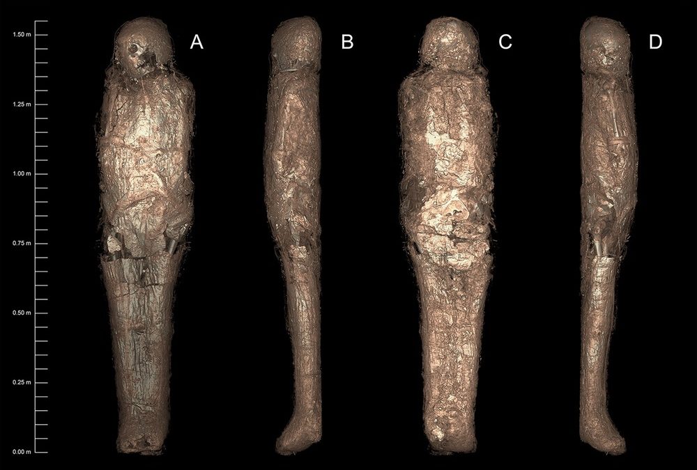 Restauration antique du pauvre : une momie recouverte d’un étrange cocon de boue