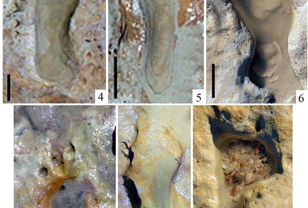 Des dizaines d’empreintes fossilisées de Néandertaliens découvertes sur une plage en Espagne