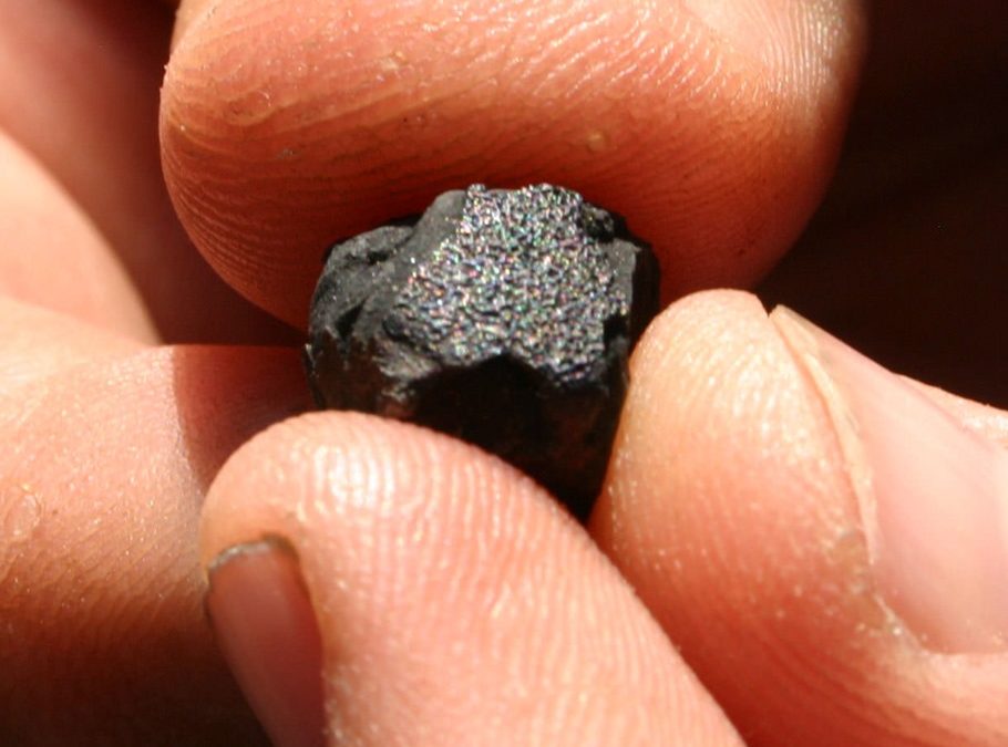 Des chercheurs trouvent de l’eau dans une météorite des débuts du système solaire
