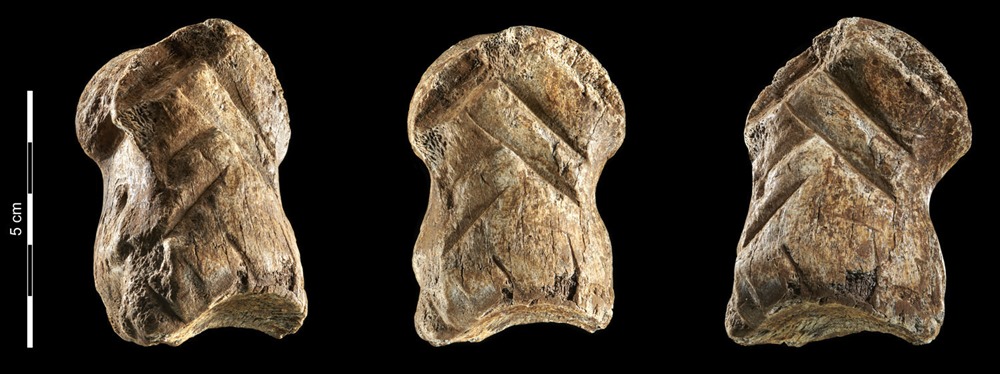 Cette gravure sur os réalisée par des néandertaliens il y a 51 000 ans pourrait être l’une des plus anciennes œuvres d’art au monde