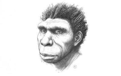 Homo bodoensis : l’ancêtre direct des humains, d’il y a 500 000 ans, a obtenu un nouveau nom